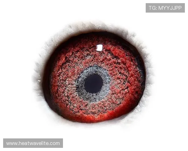 AG国际：便捷的存取款方式实现极速资金周转体验